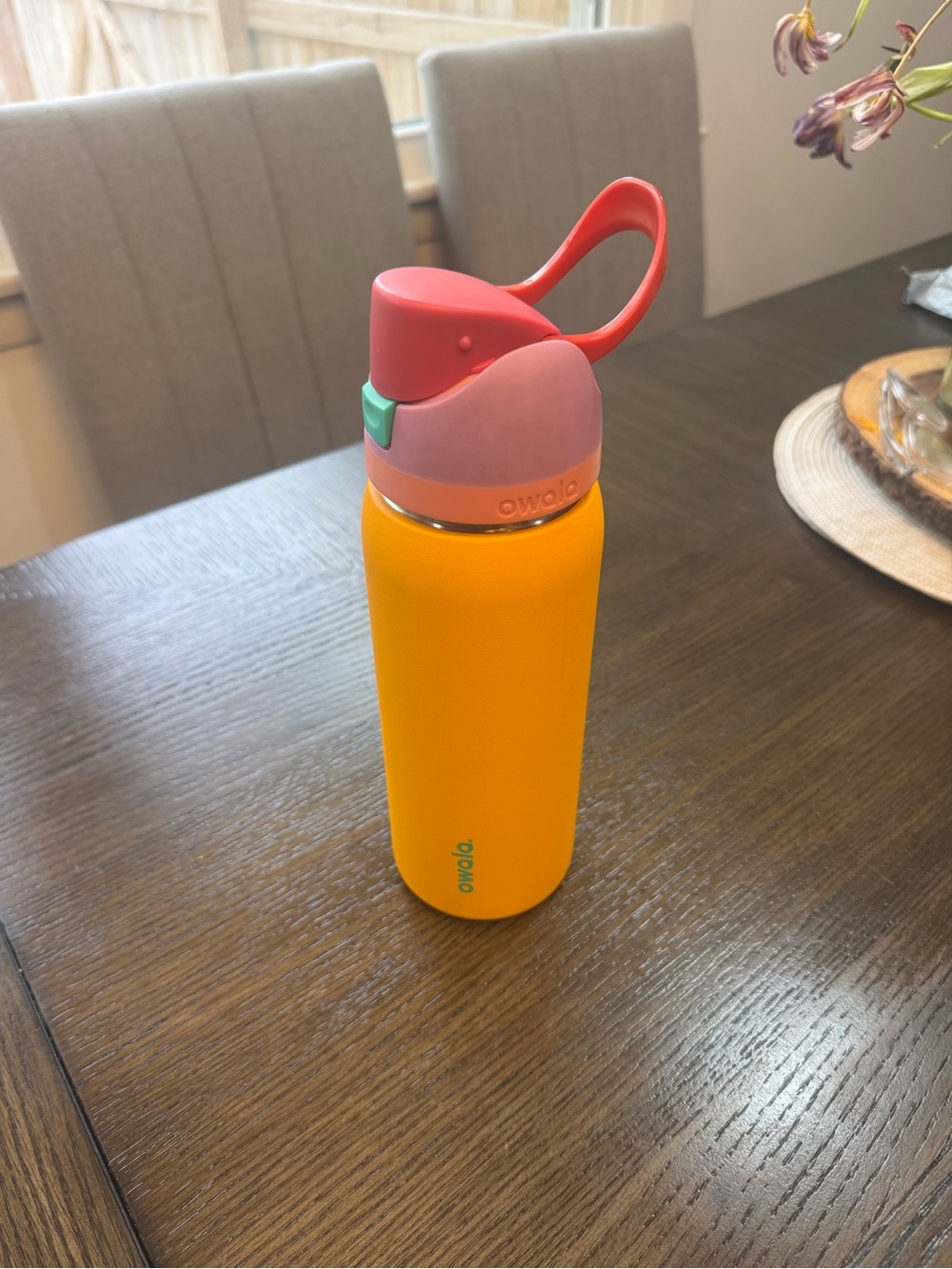 Owelo Citrus Crush Insulated Water Bottle with Carry Handle 24 fl oz
